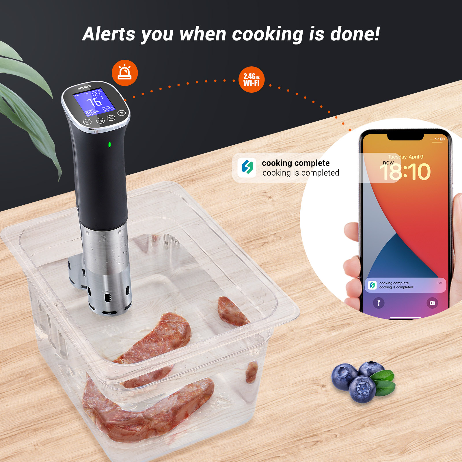 INKBIRD-Olla al vacío Sous Vid - Sous Vide Immersion Circulator Wifi reseña y precio