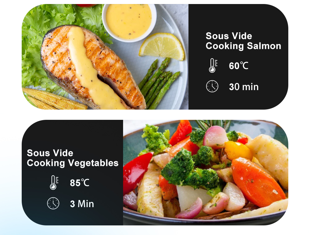 Circulador de Inmersión con Te - Sous Vide Immersion Circulator Wifi reseña y precio
