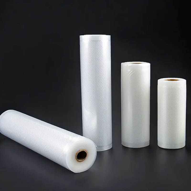 Bolsas de vacío texturizadas e - Vacuum Sealer Machine For Sous Vide reseña y precio