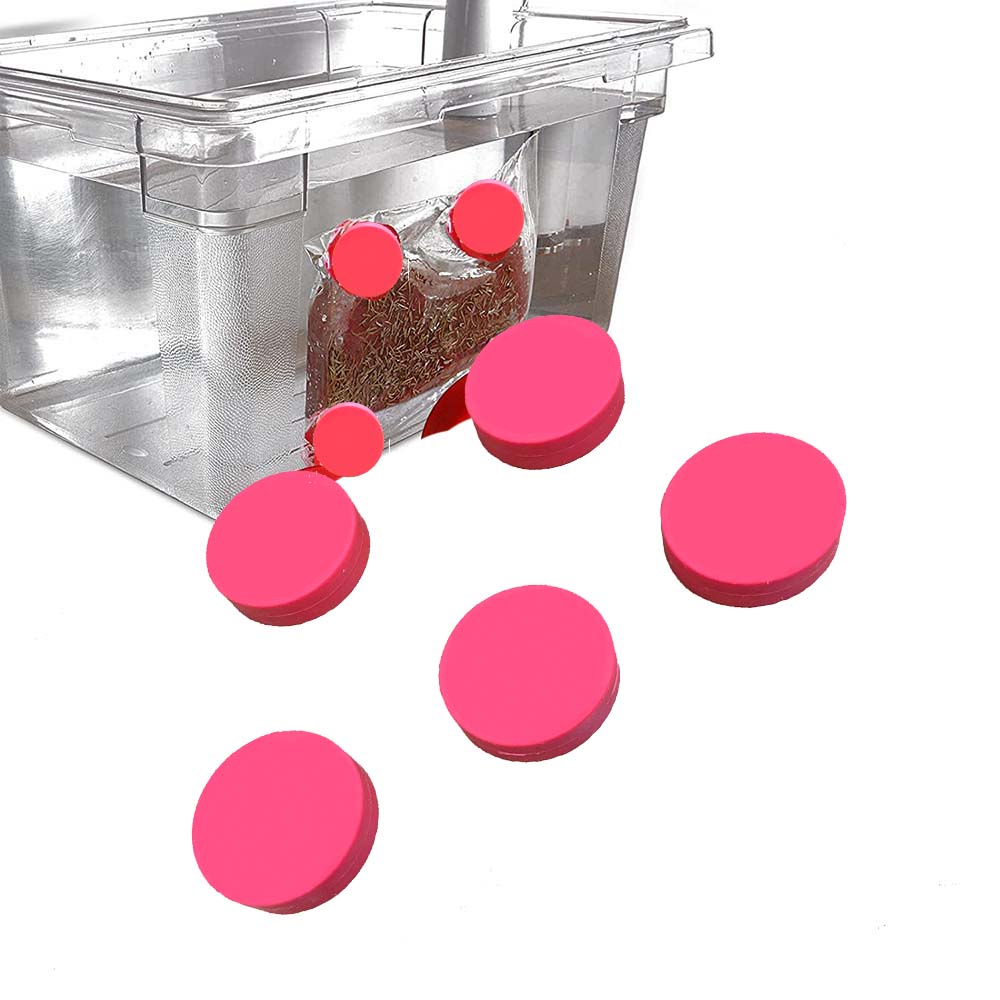 5/10 unidades de imanes para S - Sous Vide Weights Food Grade reseña y precio