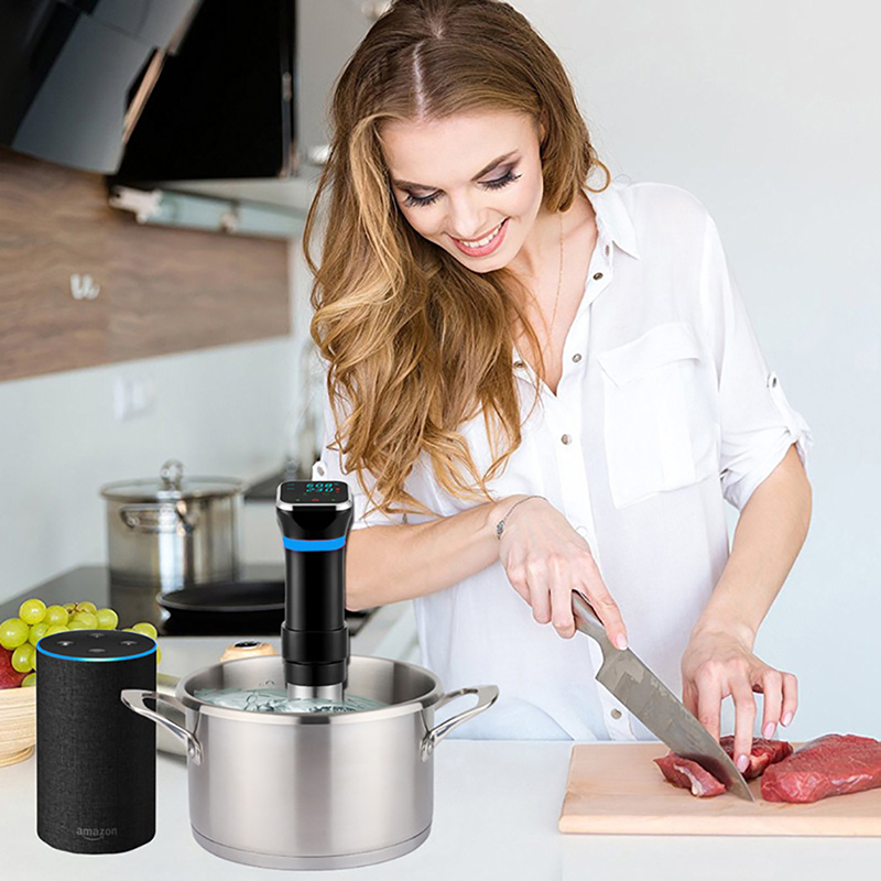 Olla de precisión Sous Vide, k - Sous Vide Precision Cooker 1100W reseña y precio